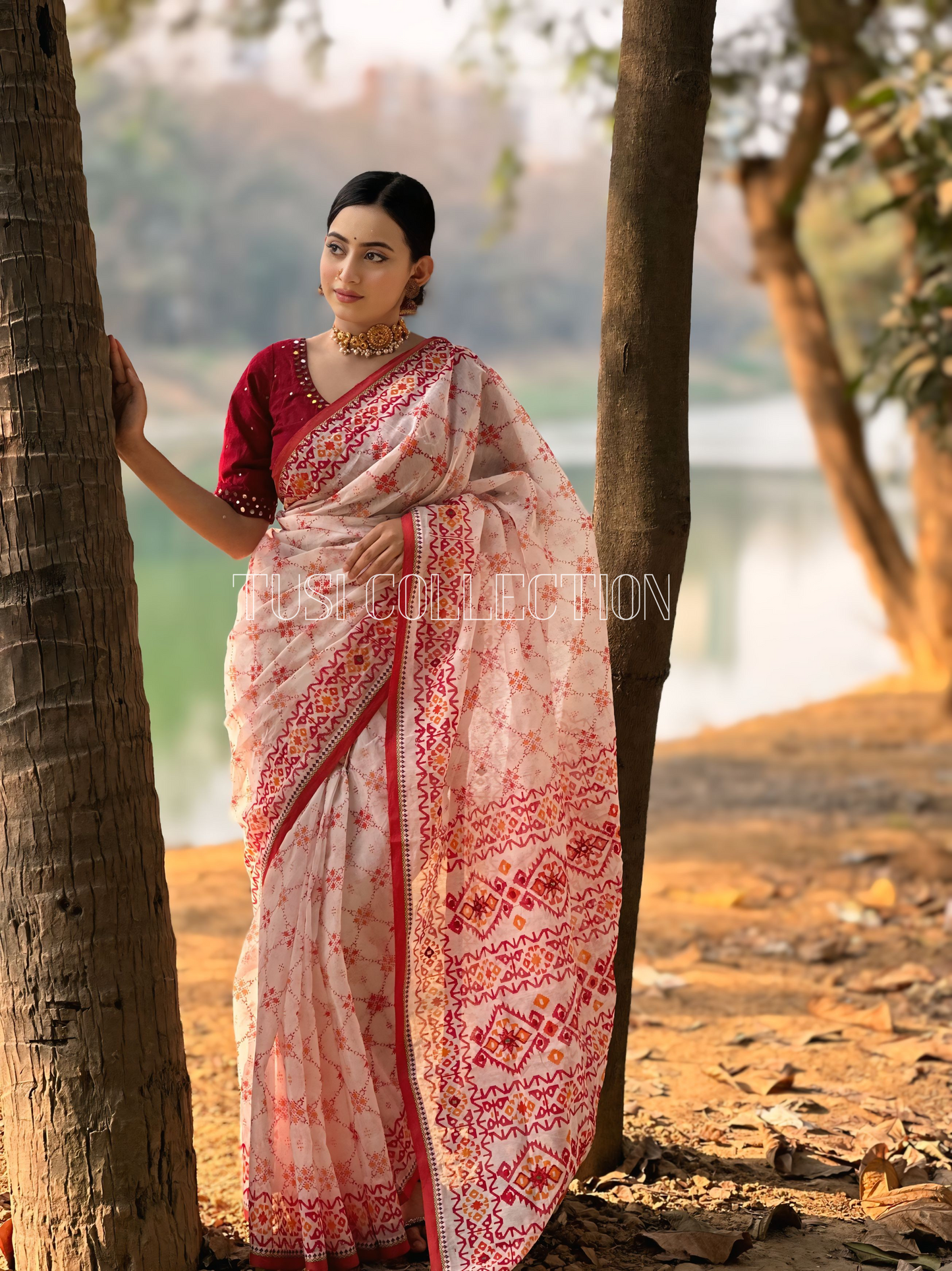 Boutique Saree