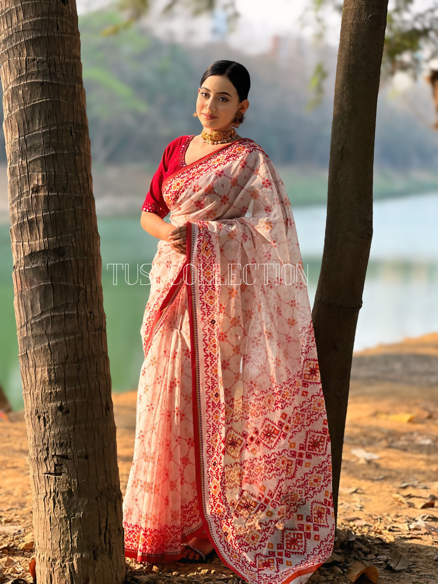 Boutique Saree