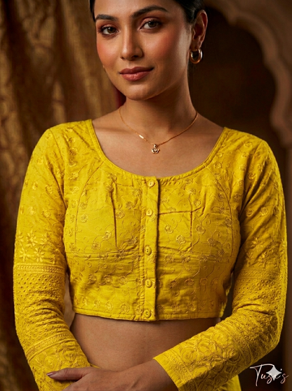 VIP চিকেন কারি ফুল হাতা ব্লাউজ