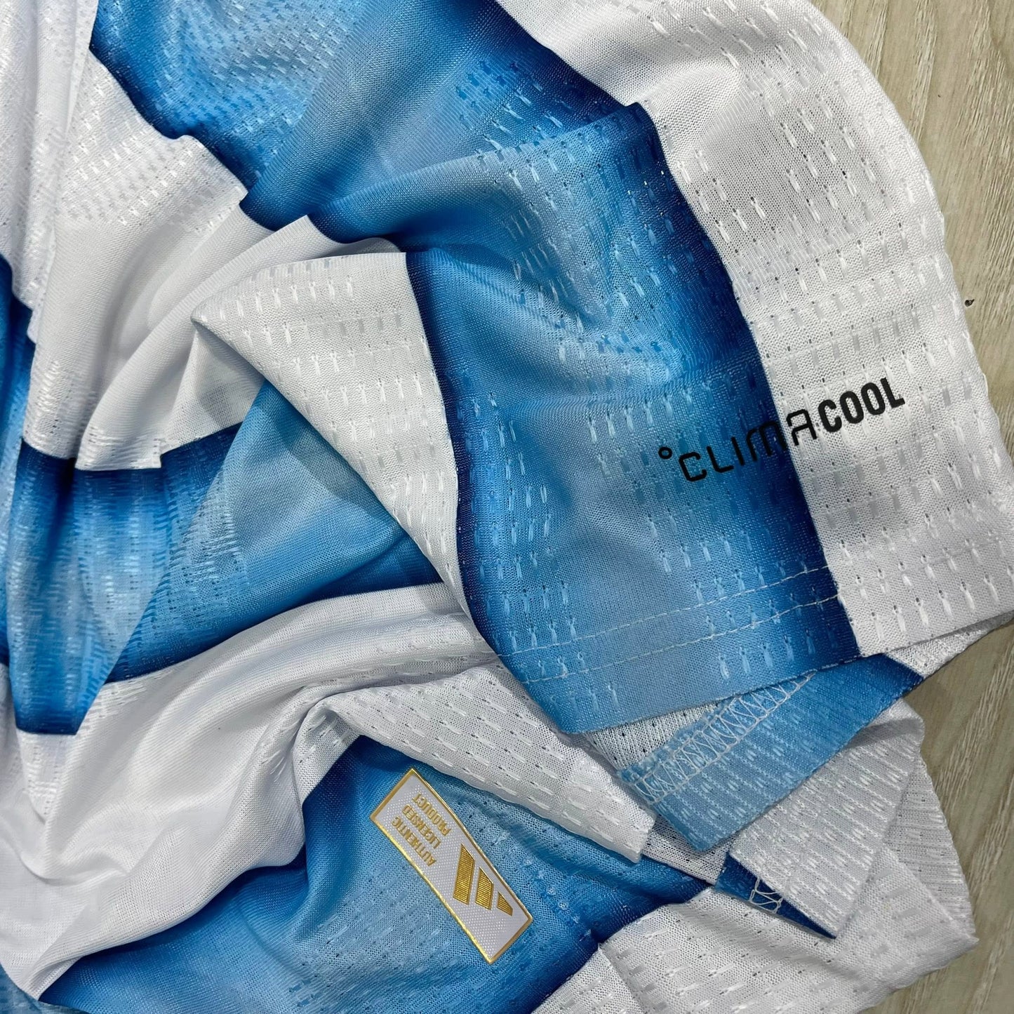 Argentina World Cup 2026 Home Jersey - Player Edition - Half Sleeve